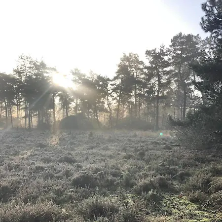 Chalet Selesa Beekbergen