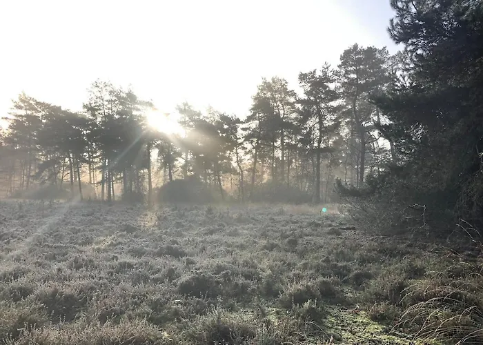 Chalet Selesa Beekbergen